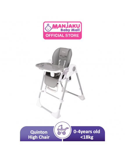 Quinton Pali 2 in 1 Swing High Chair