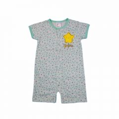 Tenderly Romper (91420203561) -Light Green